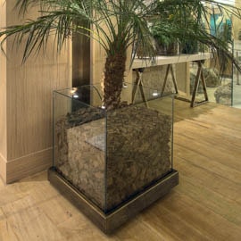 caxepo vidro planta latao casacor